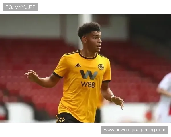 天空体育专家看好维拉主场小胜诺丁汉森林